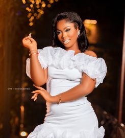 Framing life’s precious moments with The WiseTeam