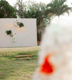 Amore Series Eventgh